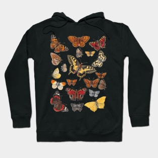 Group of Butterflies - Vintage Insect/Bug Illustration Hoodie